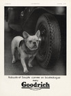 Goodrich (Tyres) 1934 French Bulldog, Bouledogue