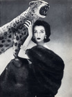 Maximilian (Fur Clothing) 1950 Photo Richard Avedon